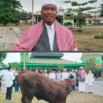 PHBI Barito Selatan Salurkan 118 Hewan Kurban, Ketua PHBI Harapkan Manfaat Merata untuk Masyarakat   Barito Selatan // Khabarmedianews-news.com – Ketua Panitia Hari Besar Islam (PHBI) Kabupaten Barito Selatan, H. Akhmad Akmal Husaen, menyampaikan rasa syukur atas pelaksanaan penyerahan hewan kurban Tahun 1447 Hijriah yang dinilai berjalan lancar dan penuh kebersamaan. Hal tersebut disampaikan usai pelaksanaan Shalat Iduladha di Masjid Agung Buntok, Rabu (27/5/2026).  Sejumlah awak media mewawancarai Ketua PHBI Barito Selatan terkait pendistribusian hewan kurban bantuan Pemerintah Kabupaten Barito Selatan yang secara simbolis telah diserahkan bersama Bupati Barito Selatan kepada masyarakat dan sejumlah wilayah penerima.  Dalam keterangannya, H. Akhmad Akmal Husaen menjelaskan bahwa pada tahun ini Pemerintah Kabupaten Barito Selatan menyalurkan sebanyak 96 ekor sapi kurban. Rinciannya terdiri dari 94 ekor sapi Bali dan 2 ekor sapi limosin yang didistribusikan ke berbagai desa dan wilayah di Kabupaten Barito Selatan.  Menurutnya, jumlah hewan kurban tahun ini mengalami peningkatan distribusi sehingga dinilai lebih merata dibandingkan tahun-tahun sebelumnya. Hal itu menjadi bentuk perhatian pemerintah daerah terhadap kebutuhan masyarakat dalam merayakan Hari Raya Iduladha.  Selain bantuan dari Pemerintah Kabupaten Barito Selatan, PHBI juga bekerja sama dengan pemerintah daerah melalui Bagian Kesejahteraan Rakyat (Kesra) untuk mendistribusikan bantuan hewan kurban dari Pemerintah Provinsi Kalimantan Tengah.  “Alhamdulillah tahun ini Pemerintah Provinsi Kalimantan Tengah melalui Bapak Gubernur juga memberikan bantuan sebanyak 20 ekor sapi kurban untuk masyarakat Barito Selatan,” ujar Akmal kepada awak media.  Tidak hanya itu, PHBI Kabupaten Barito Selatan juga menyalurkan satu ekor sapi limosin bantuan Presiden Republik Indonesia yang diperuntukkan bagi masyarakat dan jamaah Masjid As-Sa’adah.  Sementara itu, satu ekor sapi jenis Brahman bantuan dari pengusaha nasional asal Pangkalan Bun, Haji Abdul Rasyid AS, turut didistribusikan kepada masyarakat di Gang Swarga, Jalan Karau, Kabupaten Barito Selatan.  Ketua PHBI berharap seluruh bantuan hewan kurban tersebut dapat memberikan manfaat nyata bagi masyarakat, khususnya warga yang membutuhkan. Ia juga menegaskan bahwa semangat kurban harus mampu memperkuat solidaritas sosial di tengah kehidupan bermasyarakat.  “Semoga bantuan hewan kurban ini dapat bermanfaat bagi masyarakat dan umat, sekaligus mengasah jiwa sosial serta mempertebal keimanan dan ketakwaan kita kepada Allah SWT,” tuturnya.  Akmal juga menyampaikan bahwa masih terdapat beberapa desa yang belum menerima bantuan hewan kurban pada tahun ini. Atas hal tersebut, pihak PHBI bersama Pemerintah Kabupaten Barito Selatan menyampaikan permohonan maaf kepada masyarakat.  Ia menegaskan bahwa kondisi tersebut akan menjadi bahan evaluasi dan catatan penting untuk pelaksanaan distribusi hewan kurban pada tahun mendatang agar bantuan dapat semakin merata hingga menjangkau seluruh desa di wilayah Barito Selatan.  Menutup keterangannya, Ketua PHBI Kabupaten Barito Selatan menyampaikan apresiasi kepada seluruh pihak yang telah mendukung pelaksanaan Hari Raya Iduladha 1447 Hijriah di Kabupaten Barito Selatan. Ia juga memohon maaf apabila dalam seluruh rangkaian kegiatan terdapat hal-hal yang kurang berkenan di tengah masyarakat. (Gun).